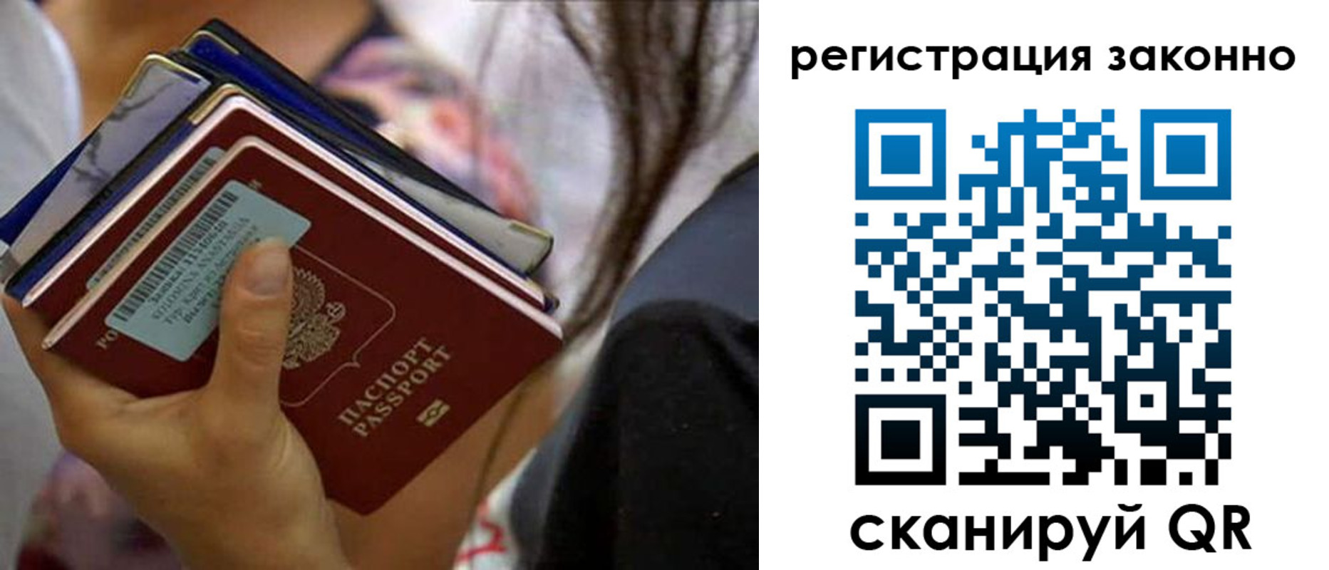прописка в Щиграх